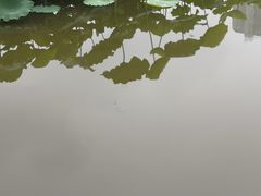 -龙头寺公园