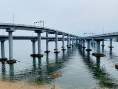 -星海湾跨海大桥