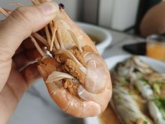 阳澄湖一号-小陆莲花蟹园农家乐(莲花岛店)