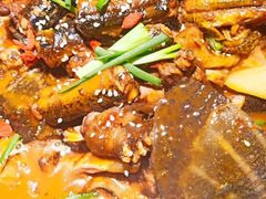 甲鱼烧鳝鱼-秦园酒楼(水岸星城店)