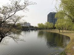 -同济大学(嘉定校区)