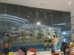 -帝企鹅自助餐厅•儿童岛•真企鹅(长隆企鹅酒店)