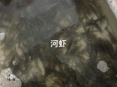 -品雅轩农家乐