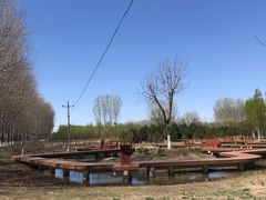 -东郊湿地公园