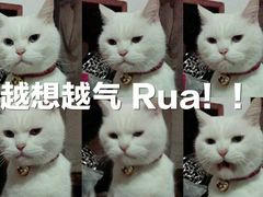 -包装马车·韩国料理·포장마차