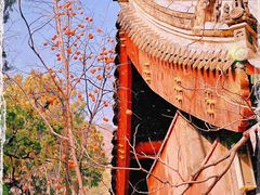 -八大处公园