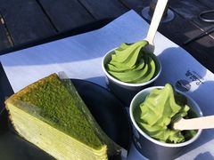 -雪绿茶博物馆