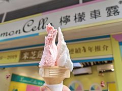 -柠檬车露(卖草地店)