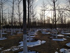 -永定河休闲森林公园