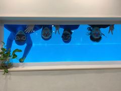 -上海潜殿潜水中心