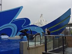 -上海海昌海洋公园