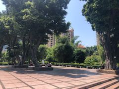 -晓港公园