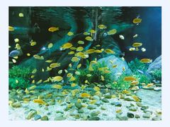 -福州罗源湾海洋世界旅游区