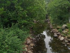 -白马涧龙池景区