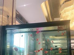 -玉雪春天(中正花园店)