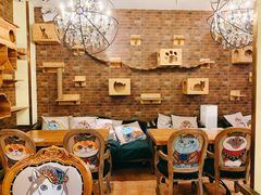 -more than meow吴止猫主题餐厅(承德 中船汇店)