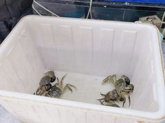 -蟹状元大闸蟹·年货·粽子(成都成华店)