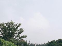 -十九路军淞沪抗日阵亡将士陵园