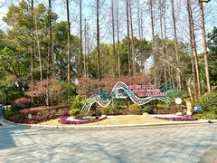 -徐家汇源景区-衡山公园