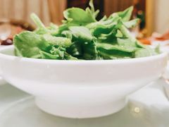 非洲冰草-顺风海鲜港(长寿路店)