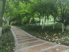 -龙头寺公园