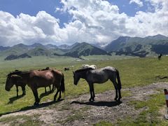 -新疆那拉提国家旅游度假区