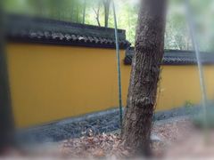 -法云安缦酒店