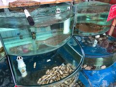 -东来菜馆•手抓海鲜家常菜•海鲜锅贴(鸽子窝店)