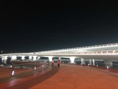 -演武大桥观景平台