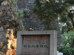 -昆明动物园