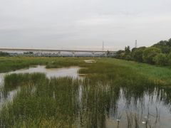 -卢沟桥