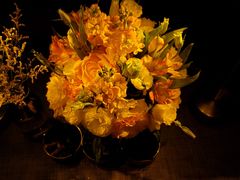 -弦月窗LUNETTE BY AMANDA(复兴路店)