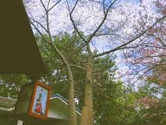 -嘉和K6温泉微度假