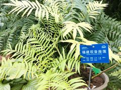 -国家植物园南园