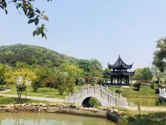 -龙寺生态园