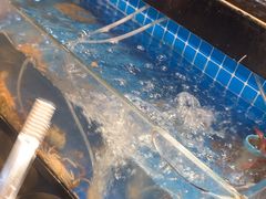 -苏格里岛自助海鲜烤肉火锅(集美万达店)