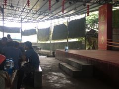 -松山湖梦幻百花洲