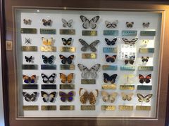 -上海昆虫博物馆