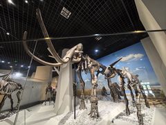 -国家自然博物馆