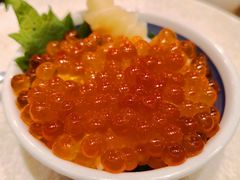 -元气寿司(新城市广场店)