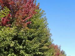 -财经大学学生公寓食堂