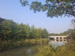 -澹台湖公园