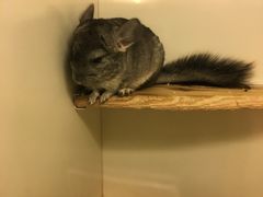 -龙猫仔乐园(惠福东路店)