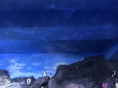 -暹罗海洋世界