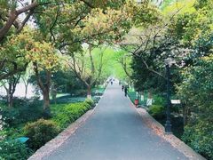 -北山街历史文化街区