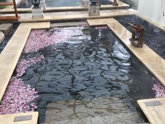 -苏州湾王焰温泉度假酒店