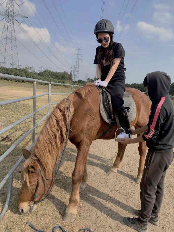 辰山517马术会所-"空气好,阳光好,什么都好,什么都不说了,.