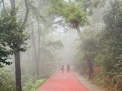 -敬亭山风景名胜区