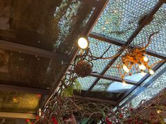 -有喜胶东小馆(超极合生汇太申祥和店)