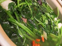 -煲煲好(朝阳门店)